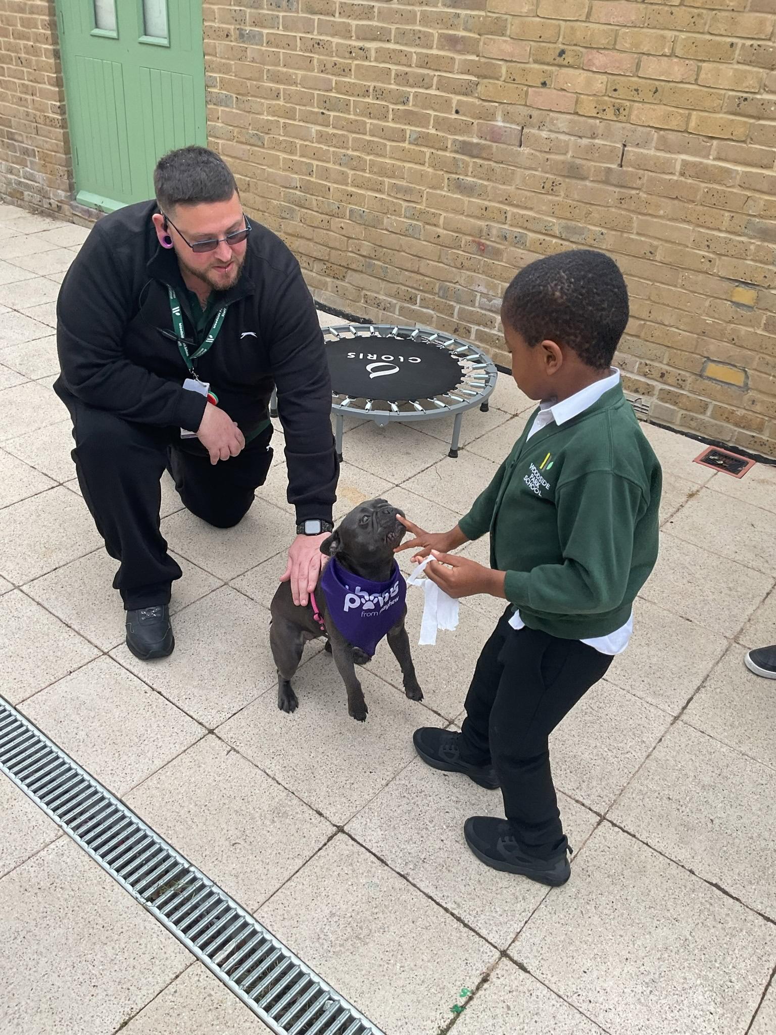 Leading provider of specialist education and residential care.