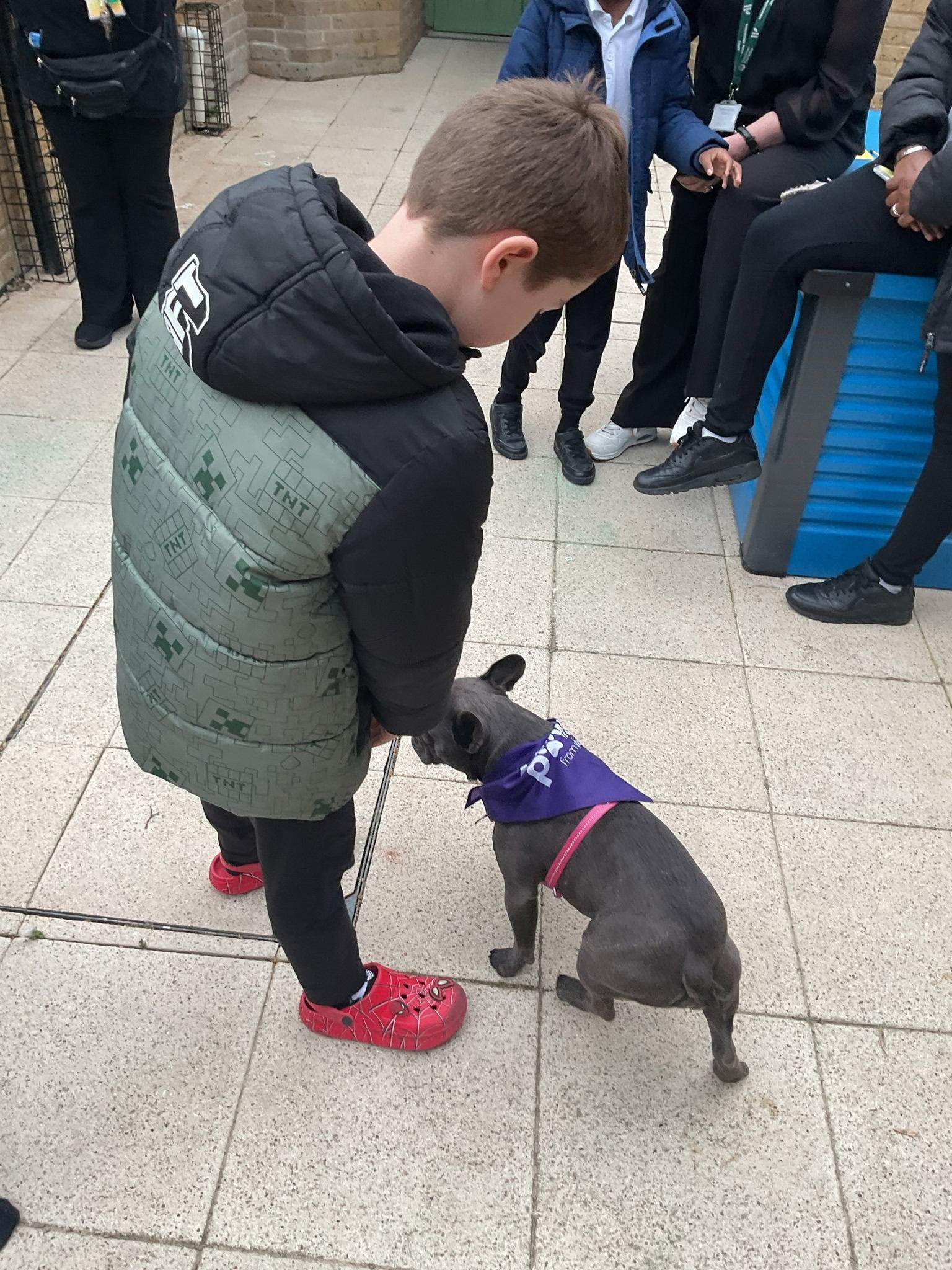 Leading provider of specialist education and residential care.